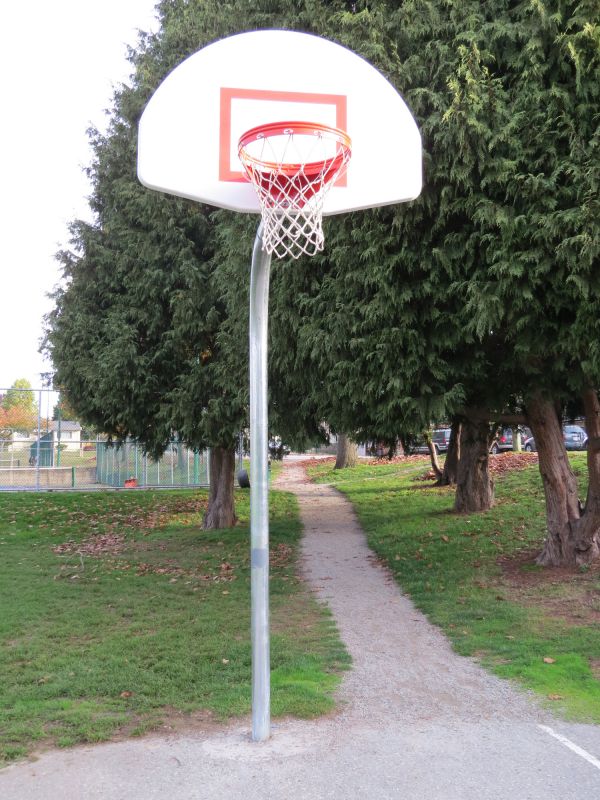 Backboard Installation in Littleton, CO